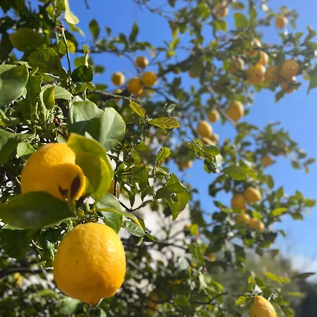 Apartamento Rez De Avec Jardinet Proche De La Hyères