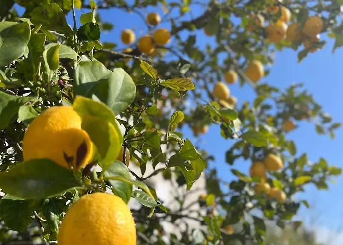 Apartman Rez De Avec Jardinet Proche De La Hyères