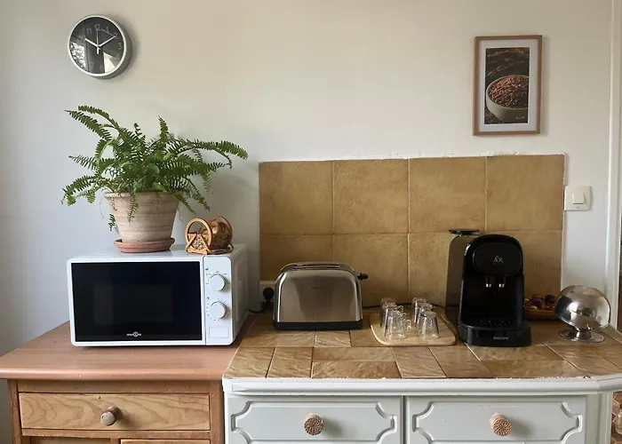 公寓 Rez De Avec Jardinet Proche De La *